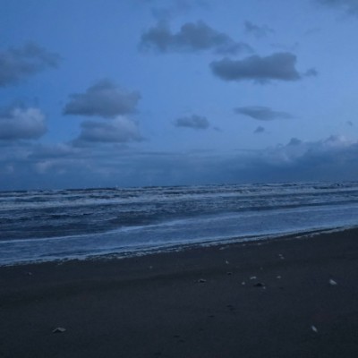 Nederland beweegt viola strijk post image