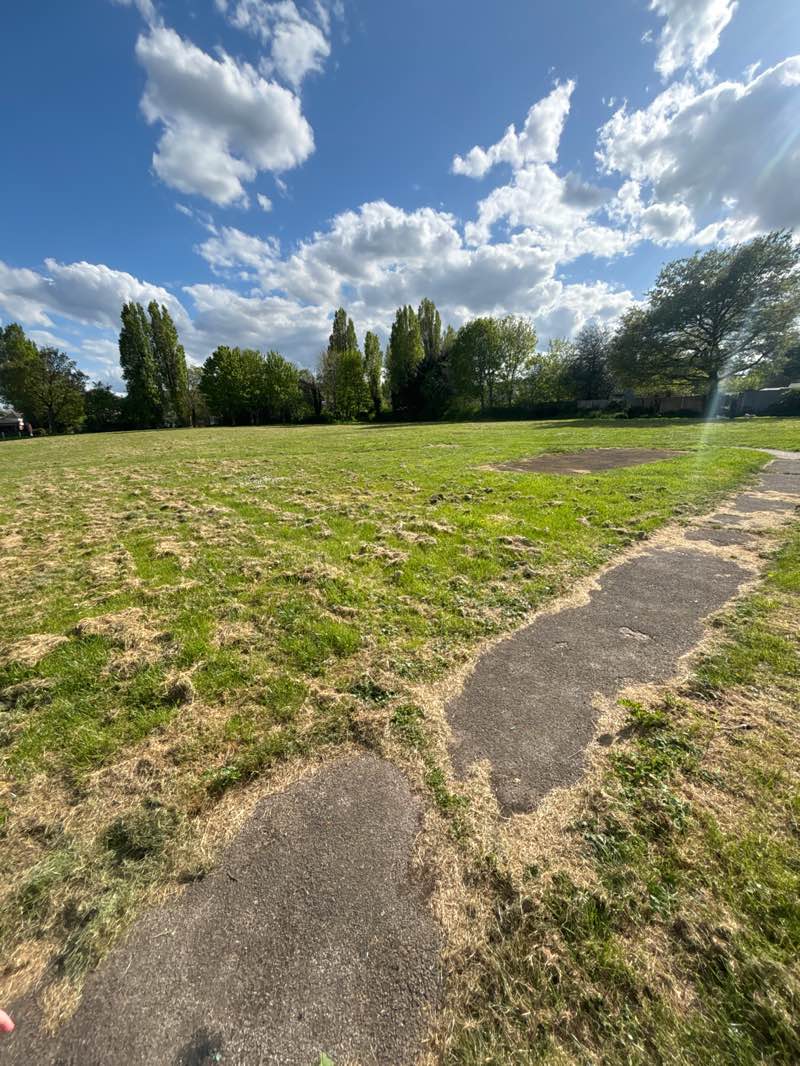 walking near me in Frome Park in spring