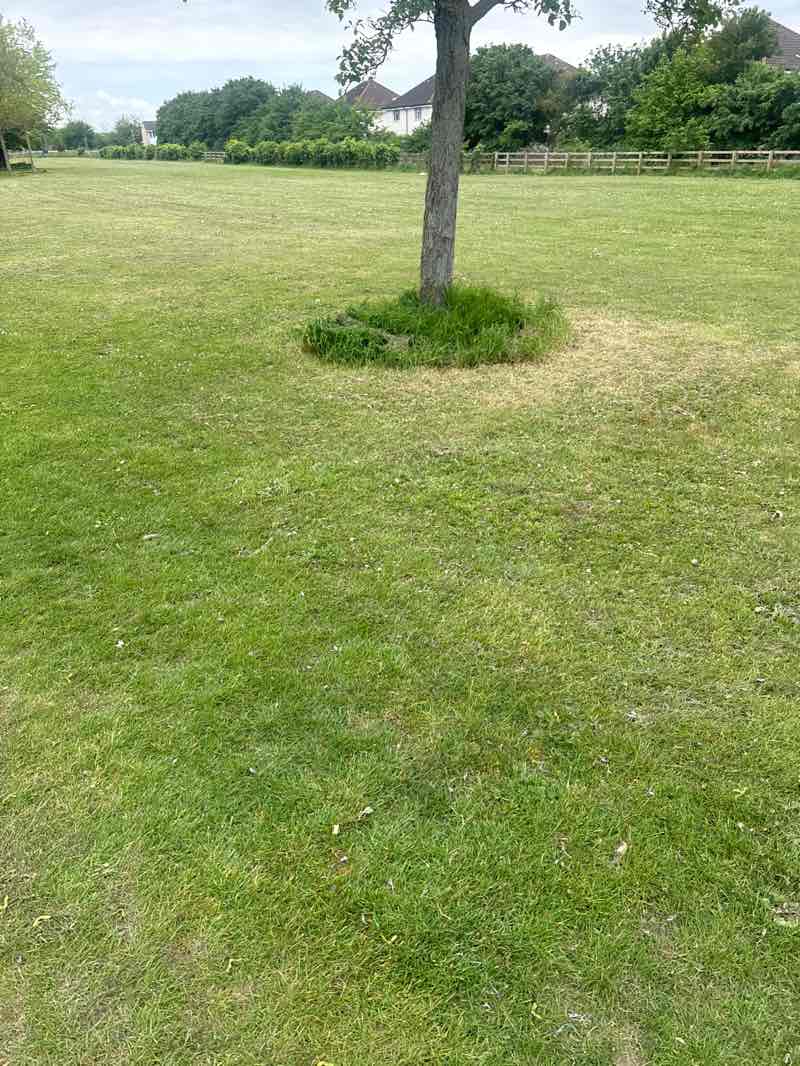 walking near me in Gobions Park in spring