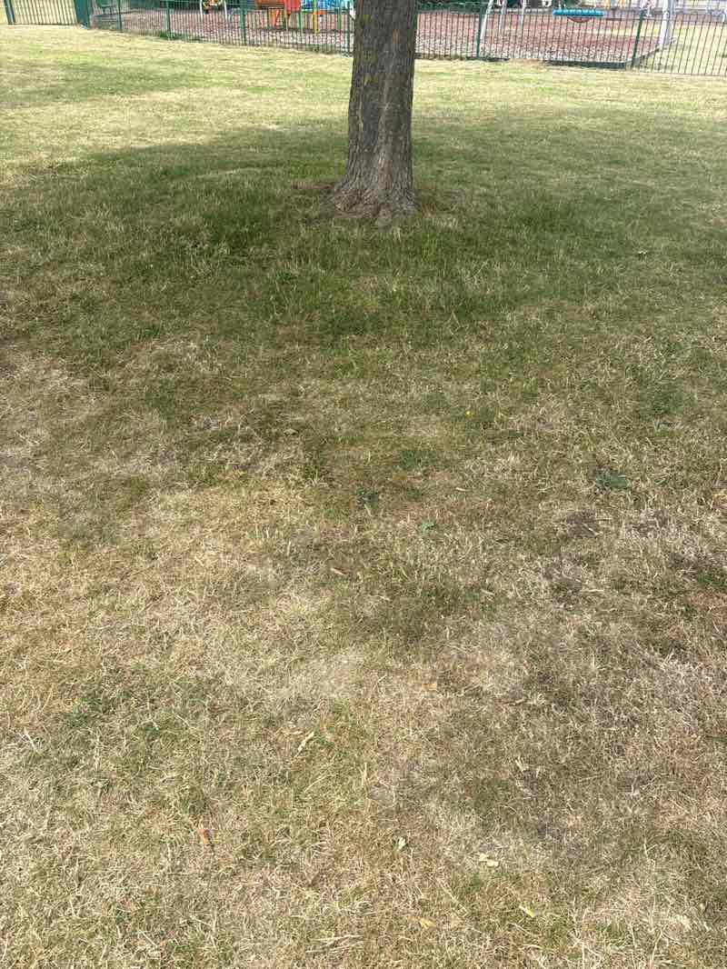walking near me in Gobions Park in summer
