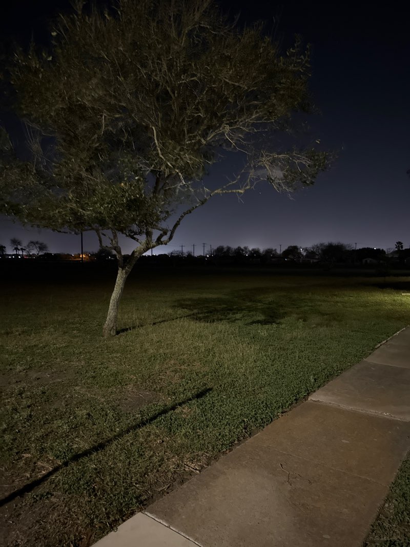 walking near me in Nature Park in winter