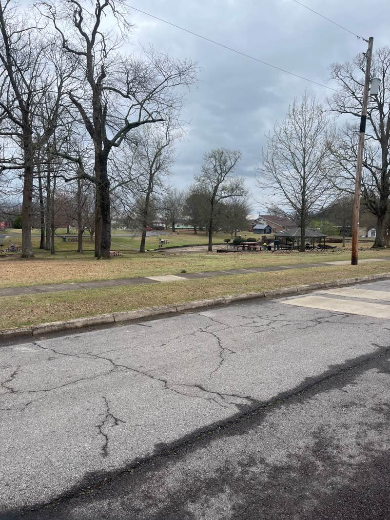 walking near me in Janssen Park in spring