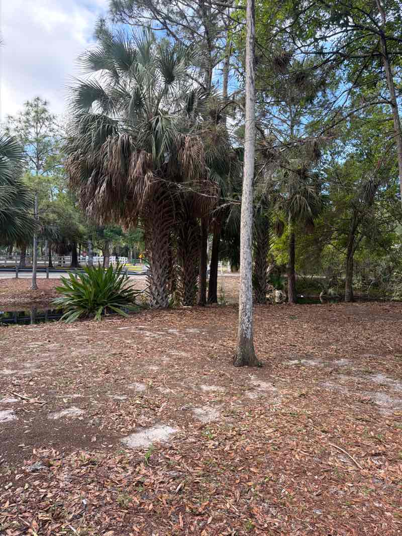 walking near me in Hampton Pines Park in spring