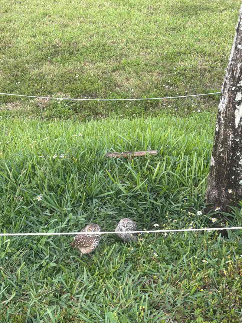 walking near me in Tamarac Sports Complex in spring