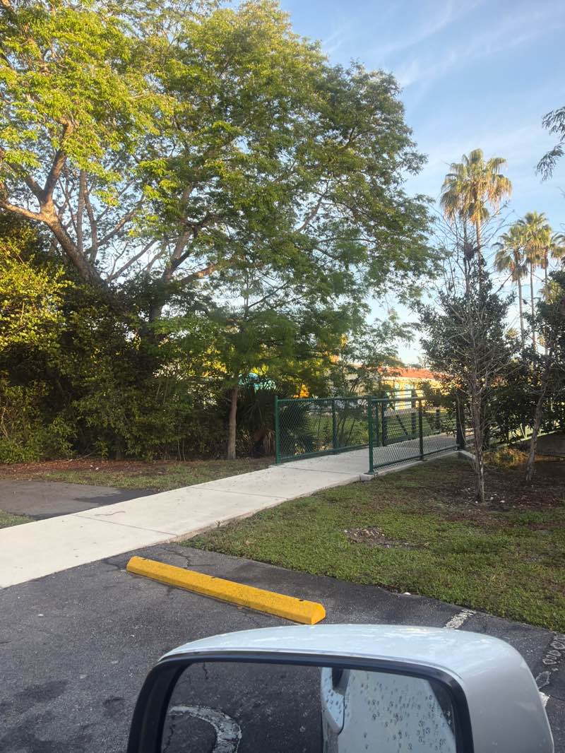 walking near me in Orchid Park in spring