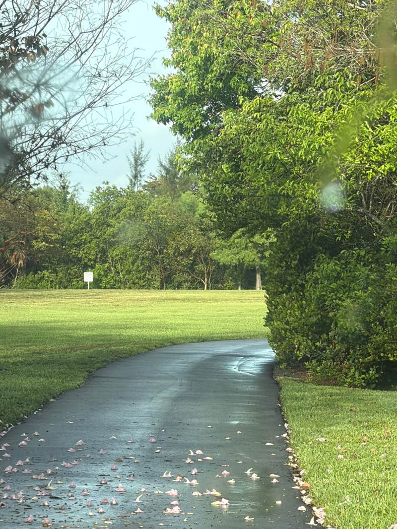 walking near me in Oakwood Park in spring