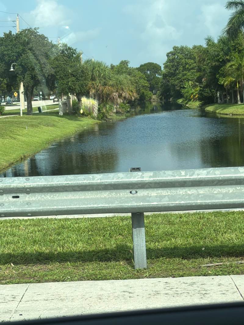 walking near me in Landings Park in summer