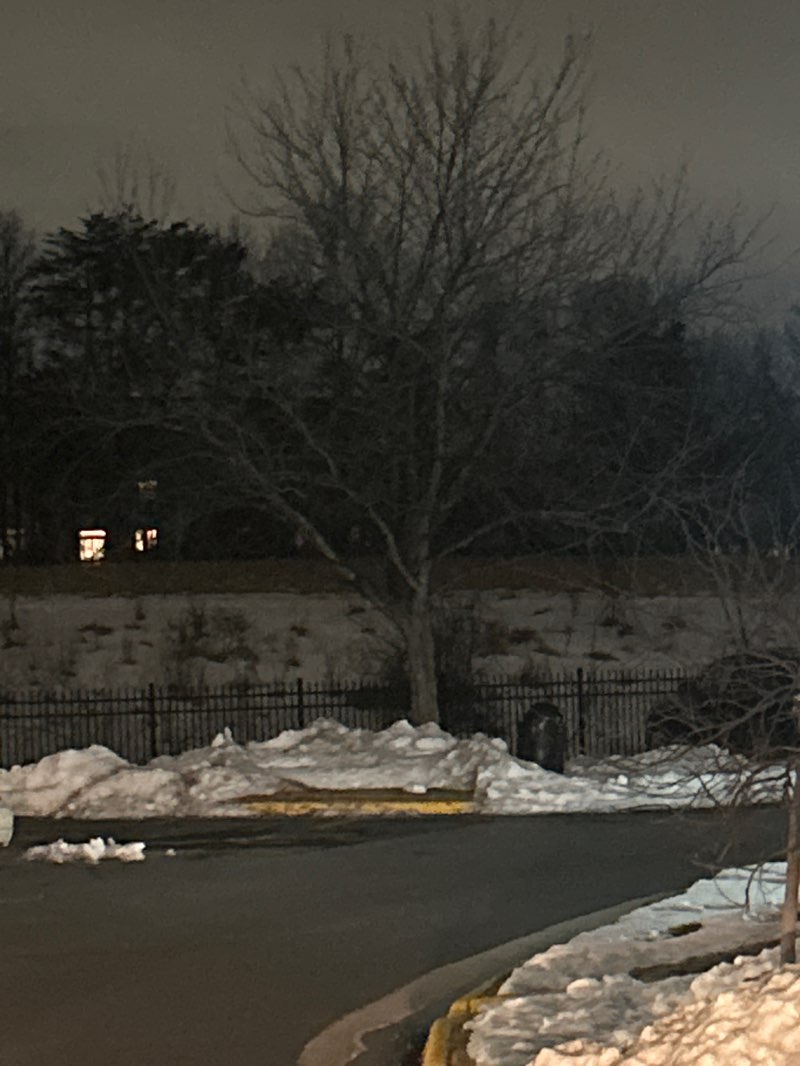 walking near me in Old Centreville Road Park in winter