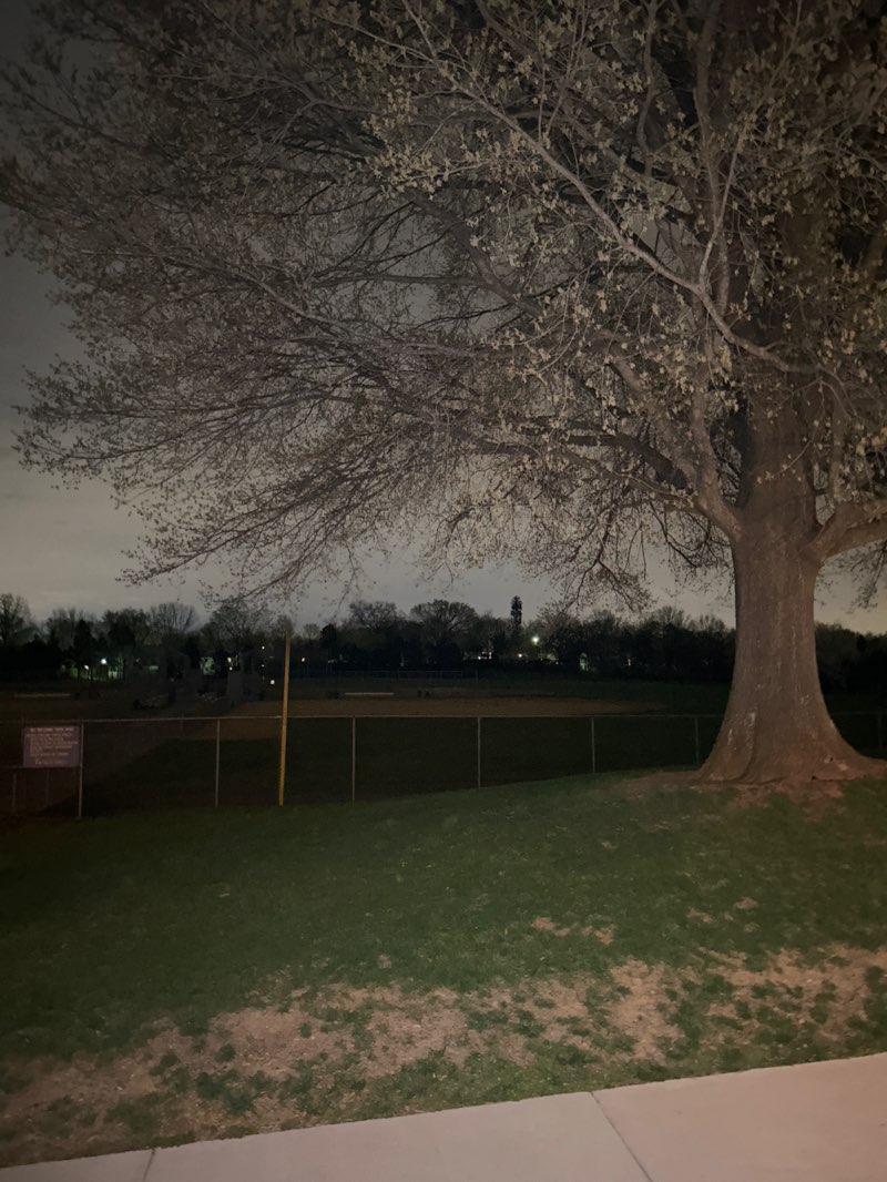 walking near me in Fairmont Neighborhood Park in spring