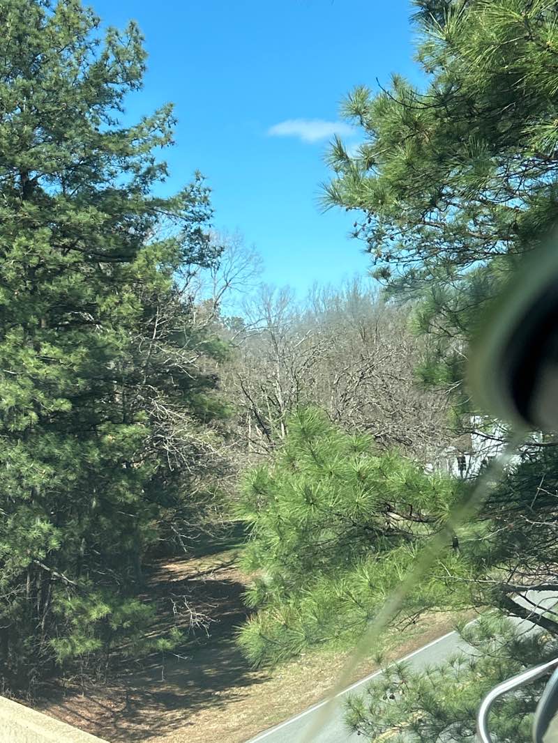 walking near me in Longdale Recreation Center in spring