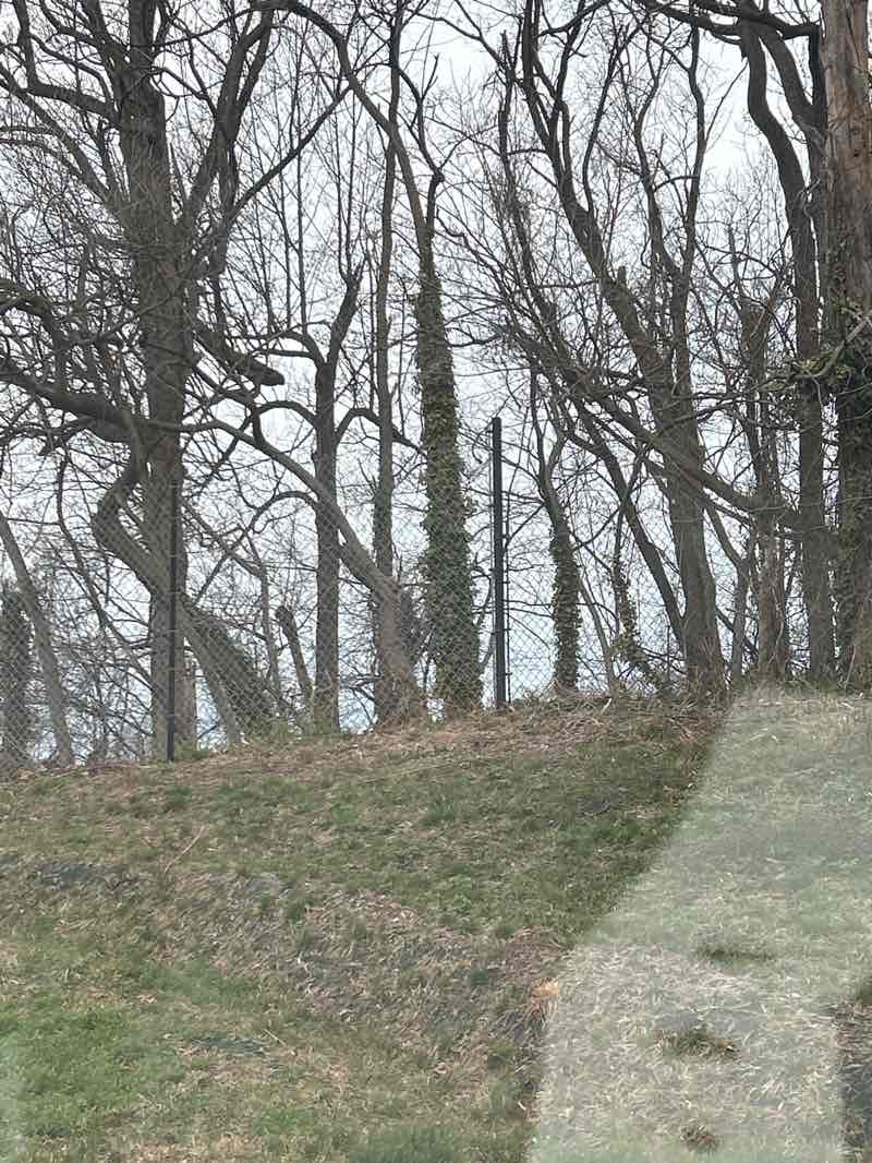 walking near me in Idylwood Park in spring