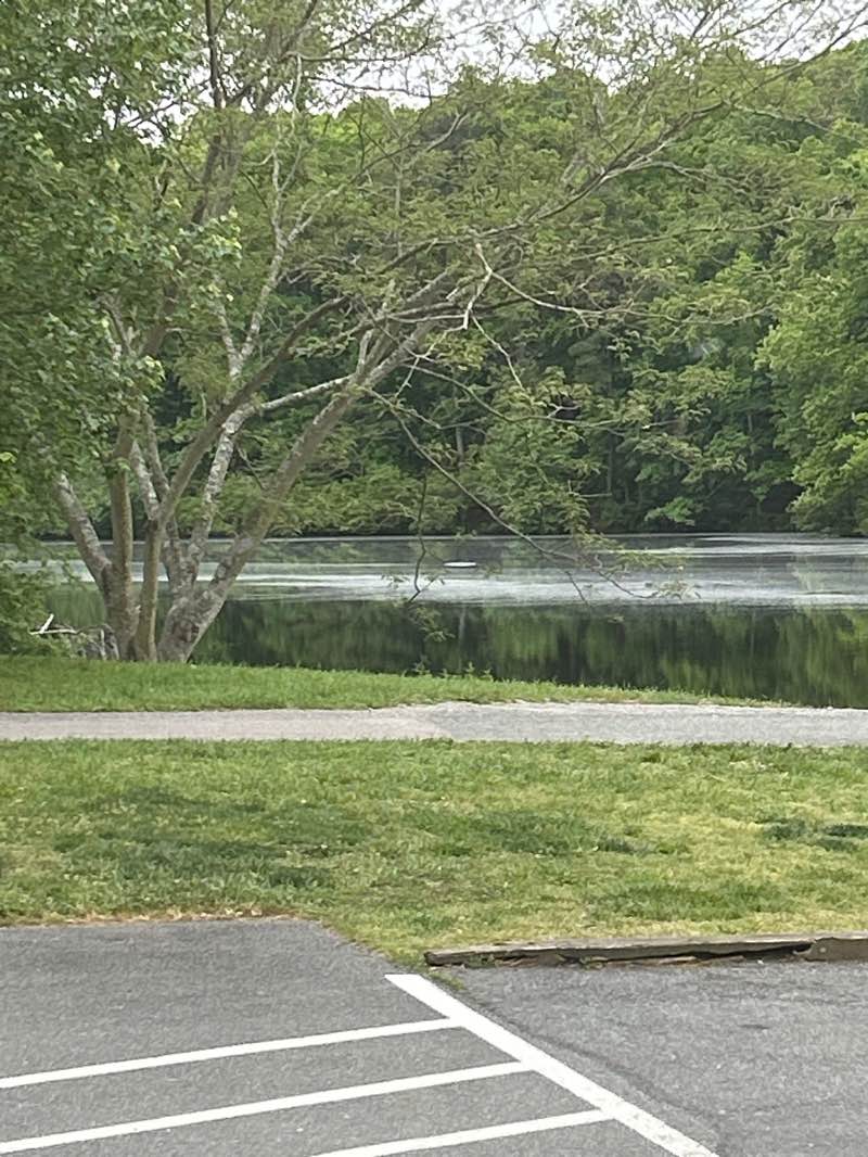 walking near me in Echo Lake Park in spring