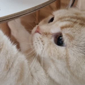 이현준👍