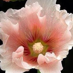 Марина profile