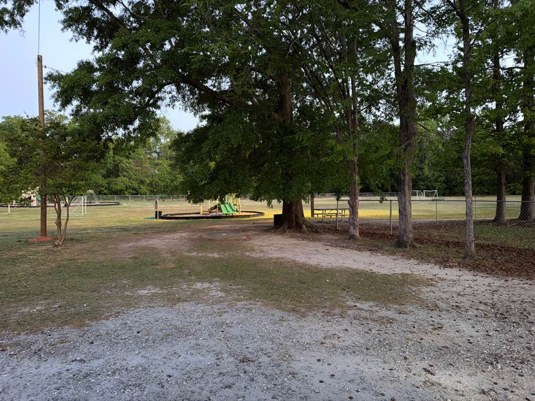 walking near me in Sara Willis Park in spring