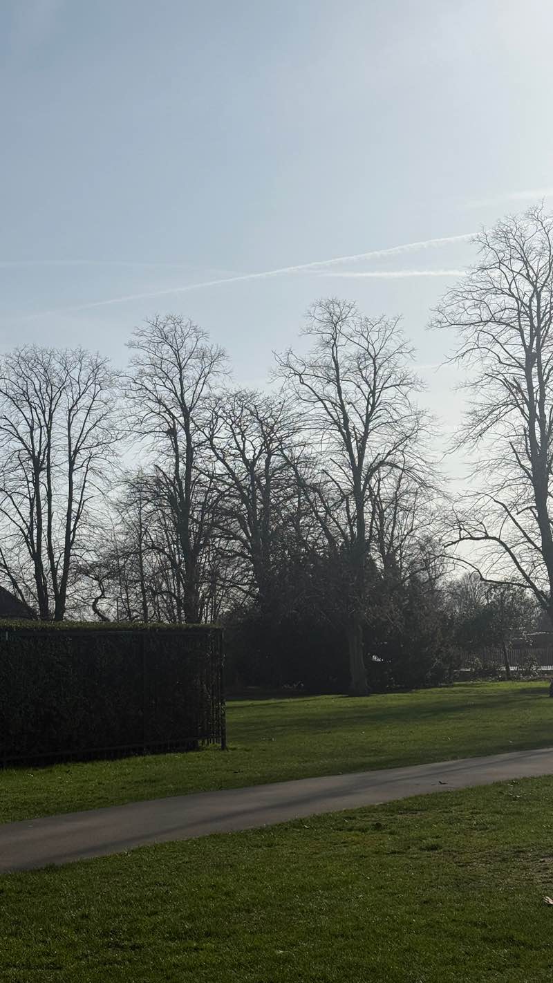 walking near me in Jubilee Park in winter