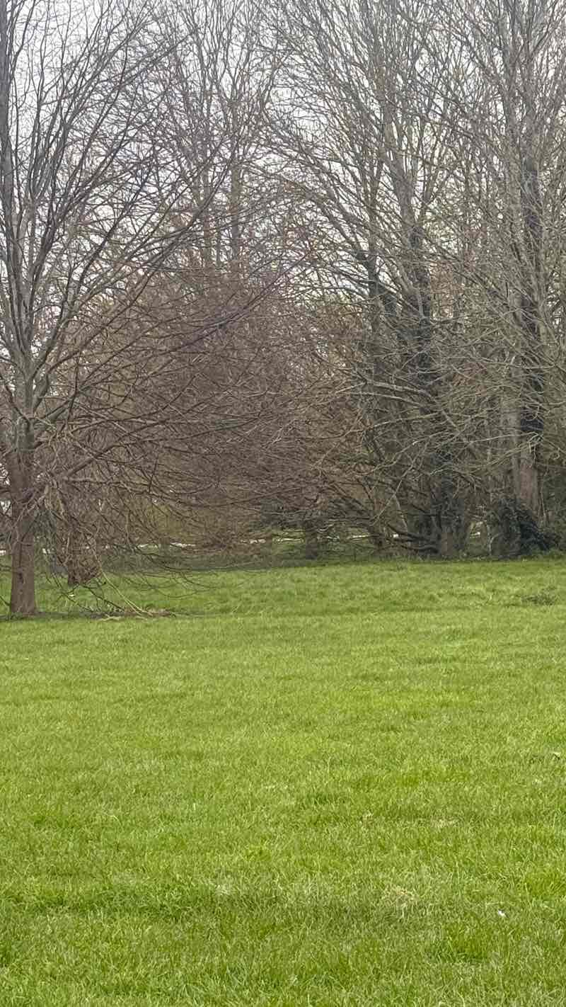 walking near me in Goldington Green Park in spring