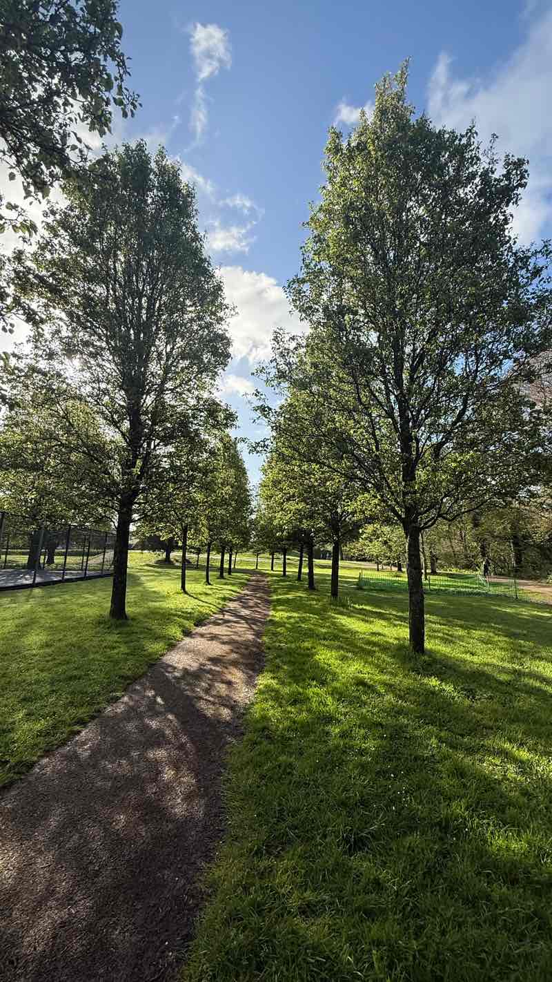 walking near me in Hailey Park in spring