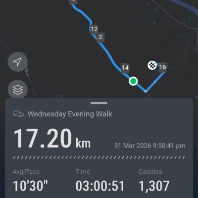 Fitness Buddies MeHediSoHaaN post image