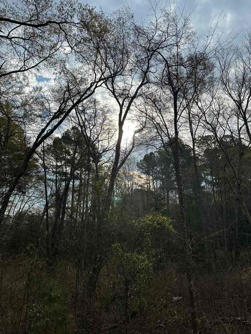 walking near me in Honeycutt Road Park in spring