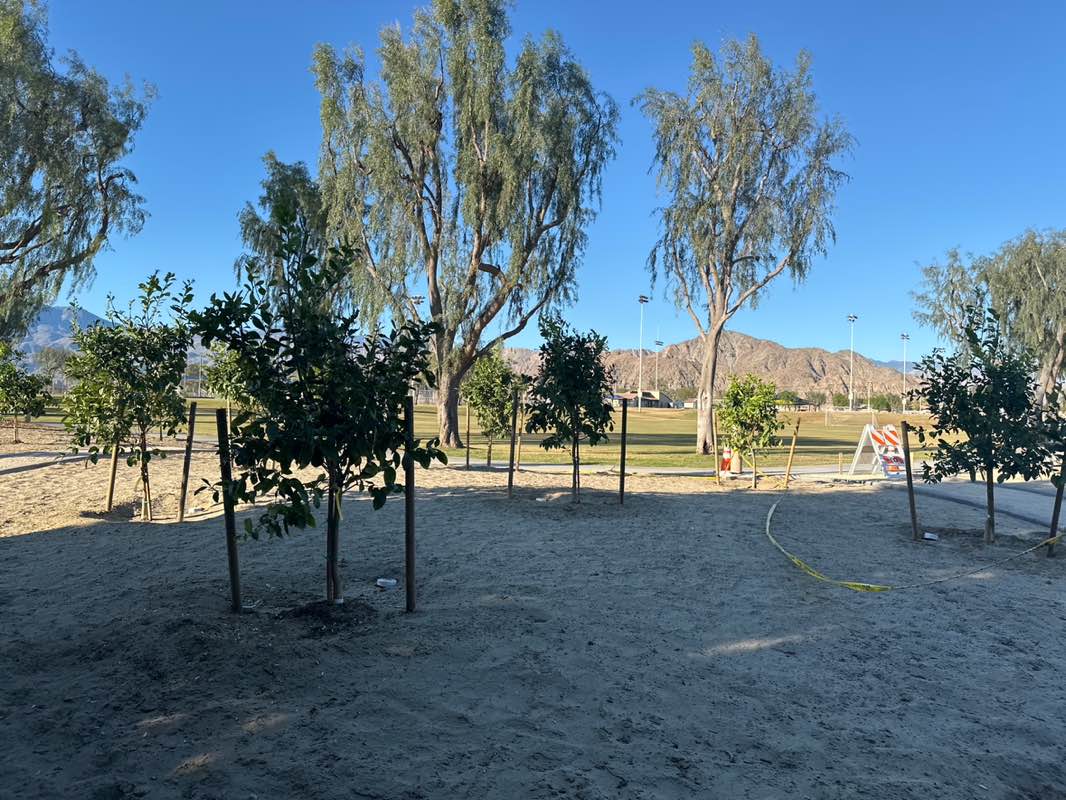 walking near me in La Quinta Park in spring