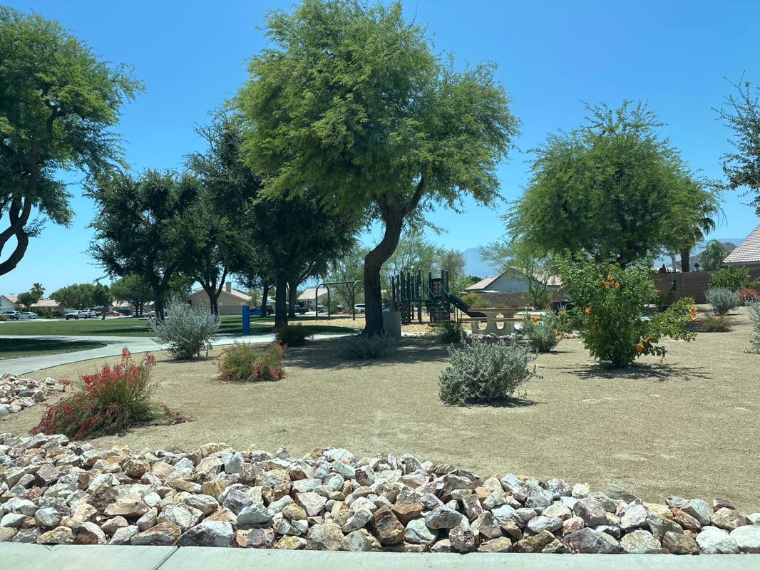 walking near me in Desert Pride Park in summer