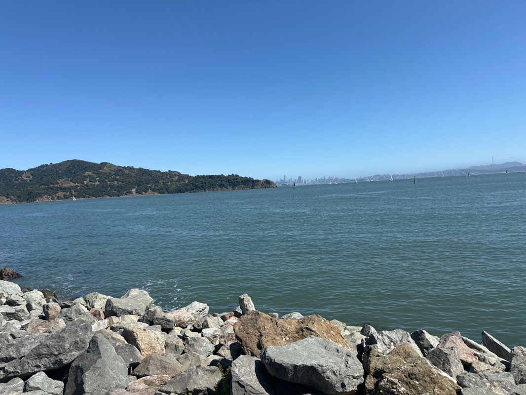 walking near me in Shoreline Park in summer