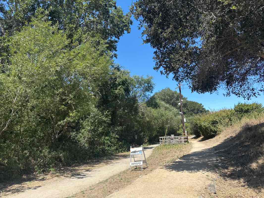 walking near me in Garland Ranch Regional Park in summer