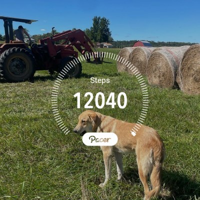 A Little Faster May 🌺 post image