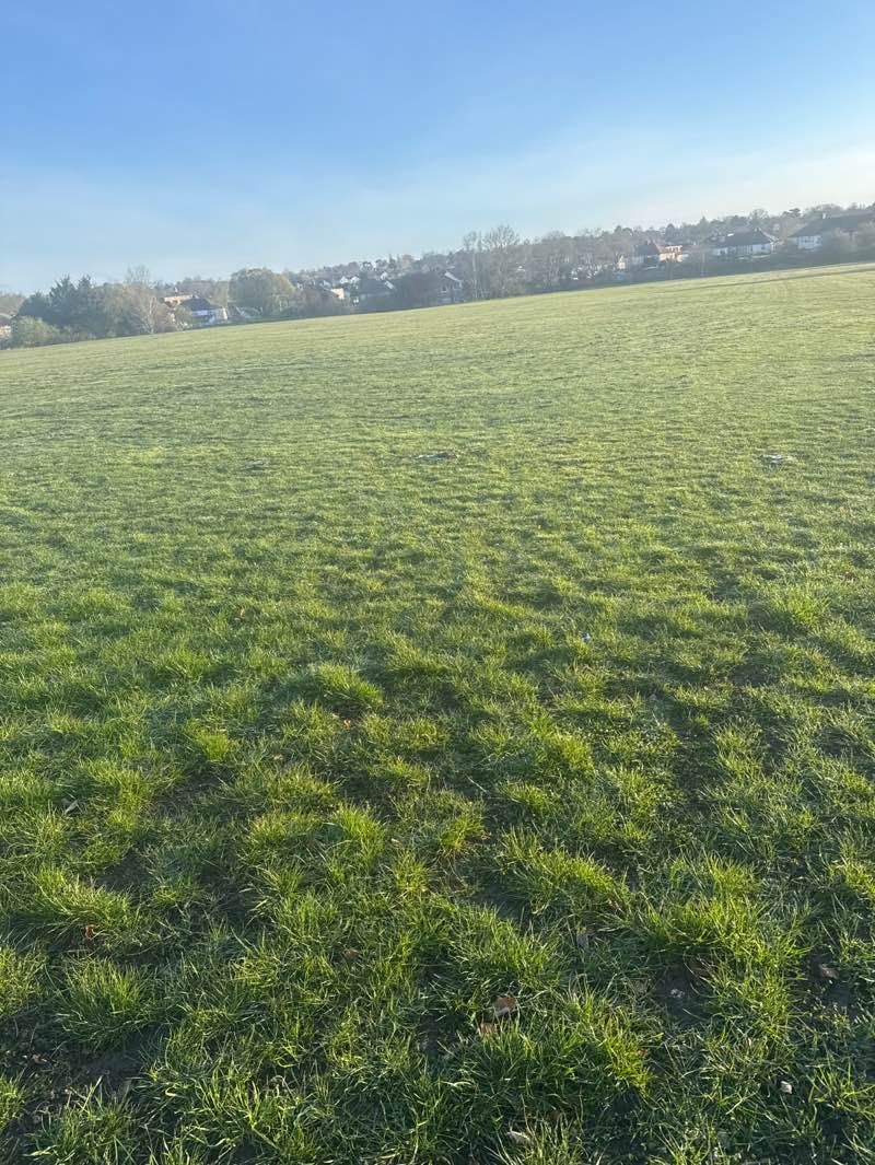 walking near me in Havelock Recreation Ground in spring