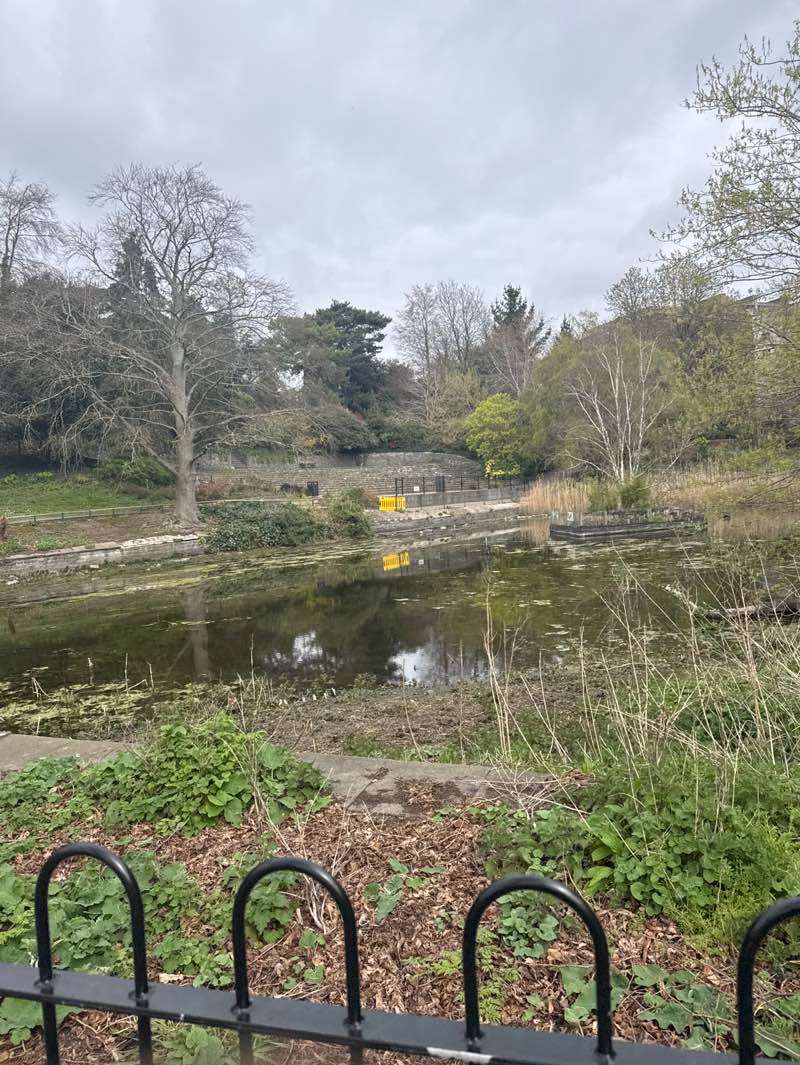 walking near me in Church House Gardens in spring