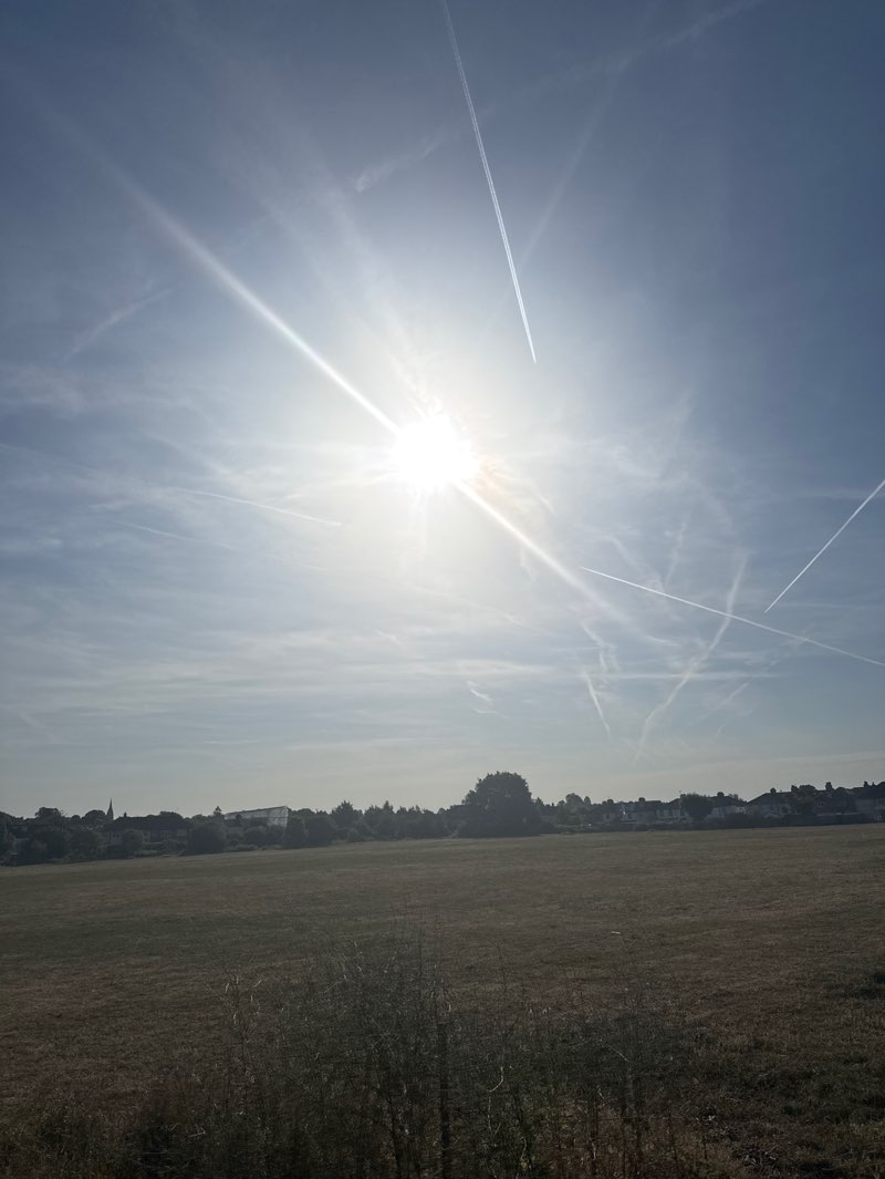 walking near me in Havelock Recreation Ground in summer