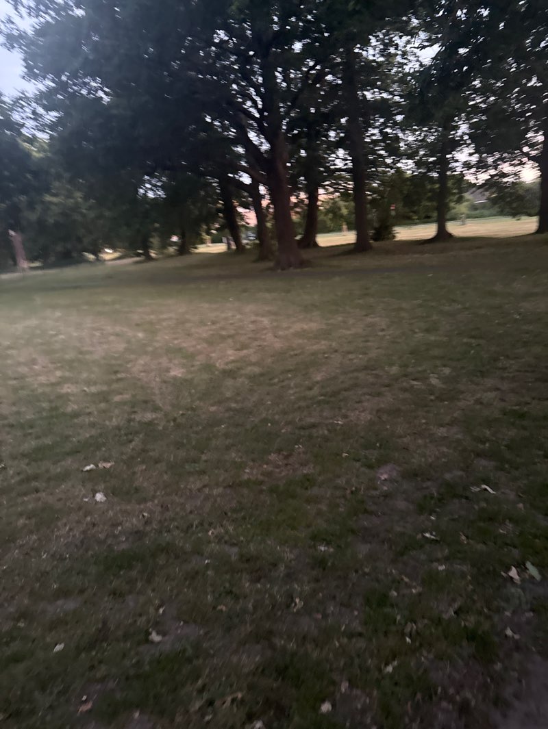 walking near me in Tugmutton Common in summer