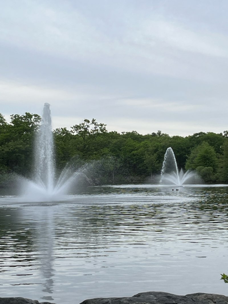 walking near me in Fellsmere Park in summer