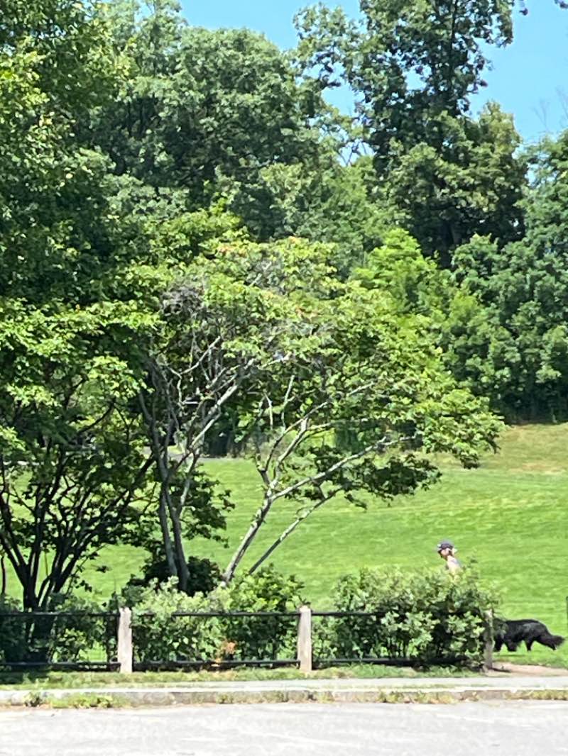 walking near me in Perry Park in summer