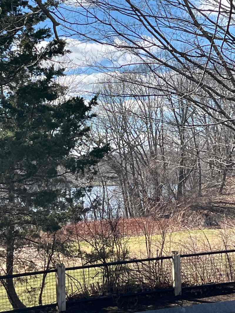 walking near me in Kingsley Park in spring