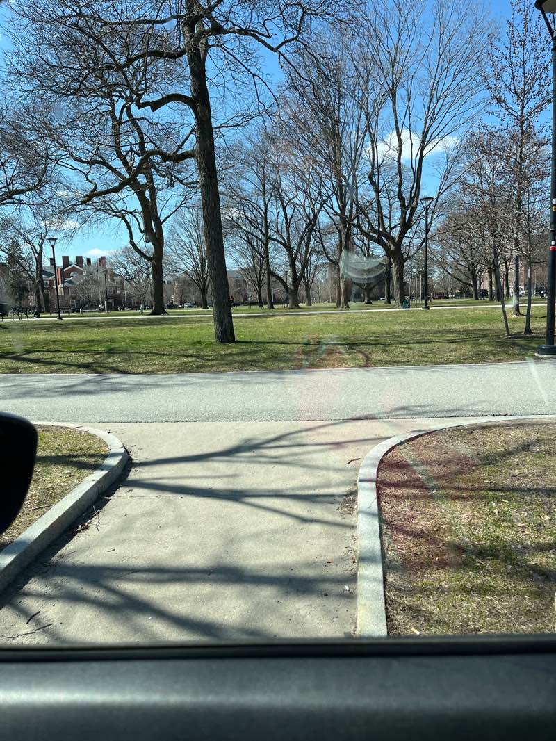 walking near me in Cambridge Common in spring