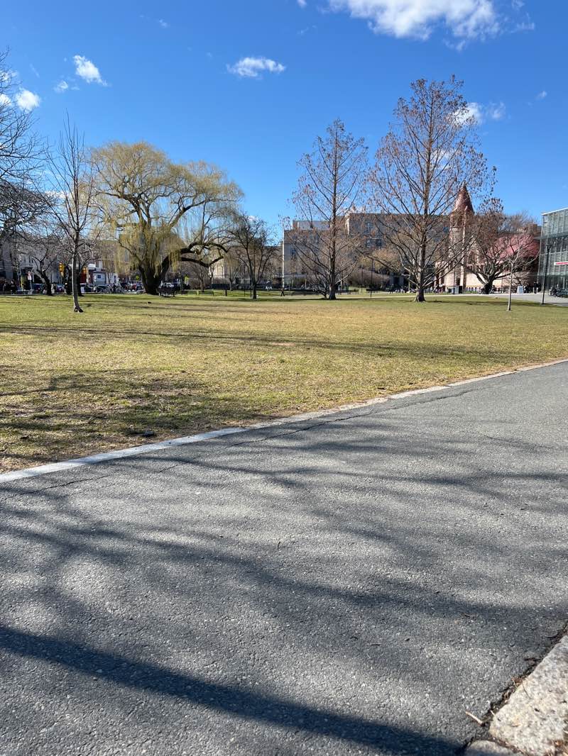 walking near me in Joan Lorentz Park in spring