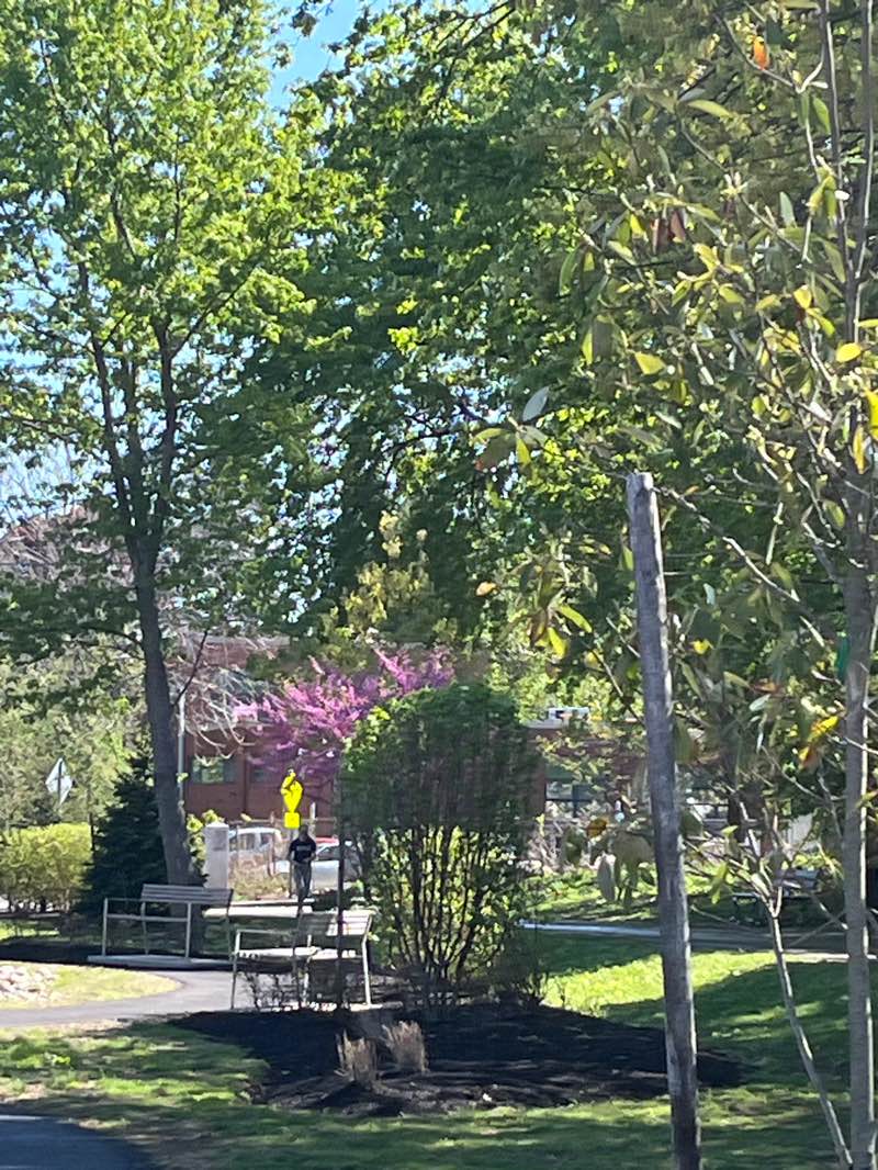 walking near me in Watertown-Cambridge Greenway in spring