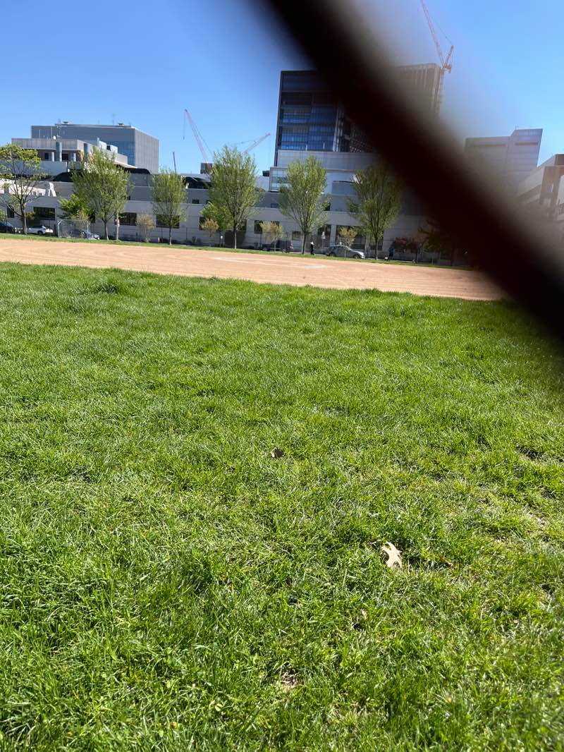 walking near me in Ahern Field in spring