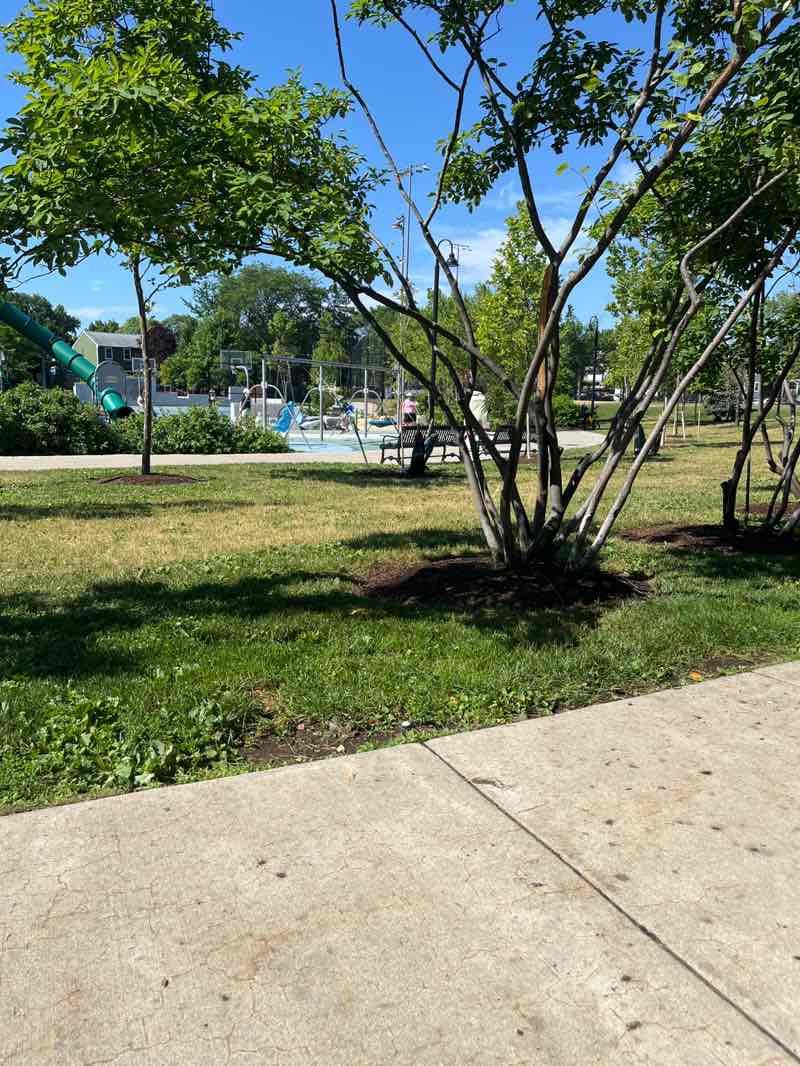 walking near me in Lincoln Park in summer
