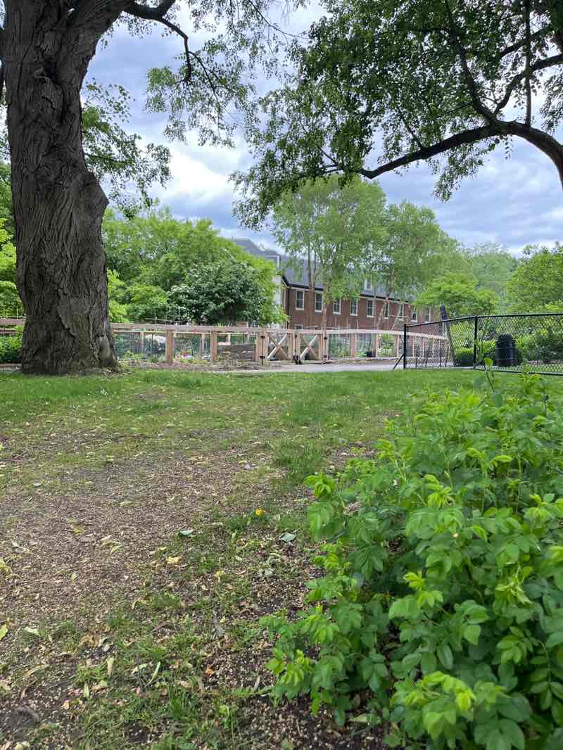 walking near me in William G. Maher Park in summer