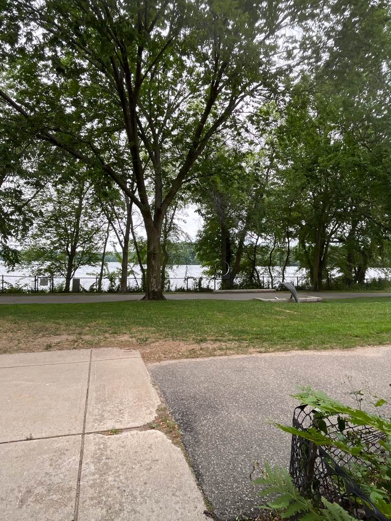 walking near me in Kingsley Park in summer