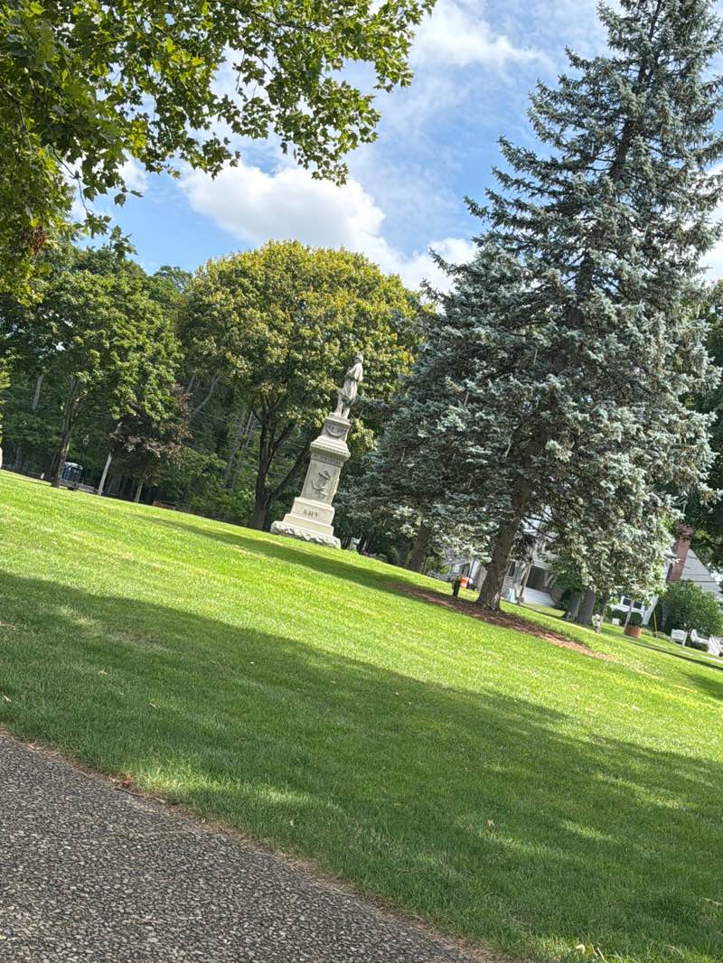 walking near me in Franklin Town Common in summer