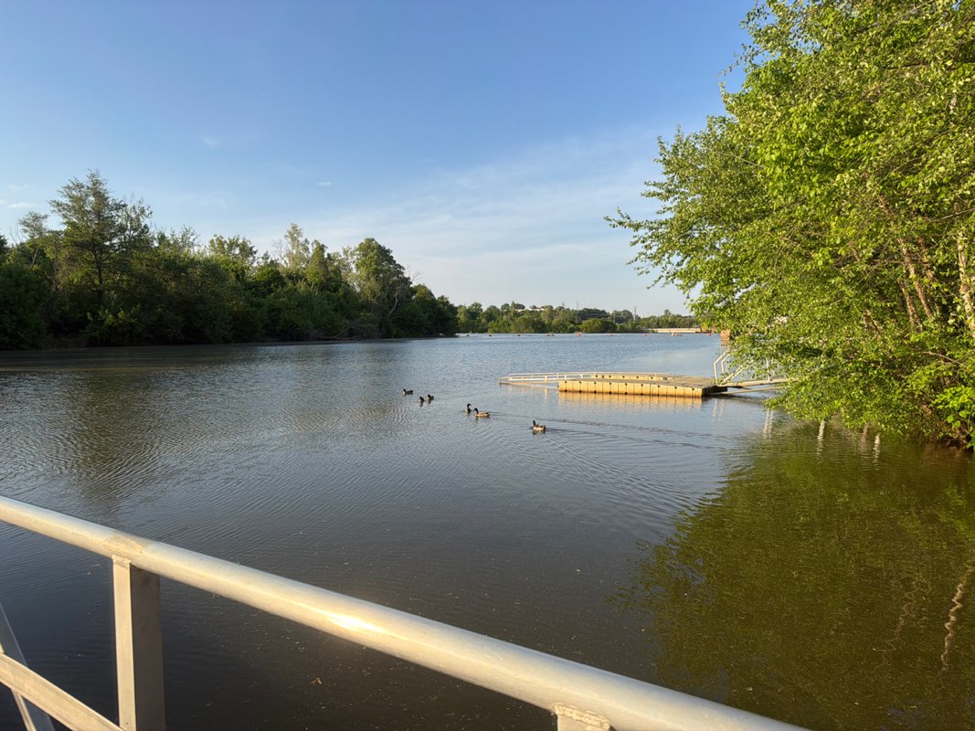 walking near me in Abreu-Grogan Park in spring