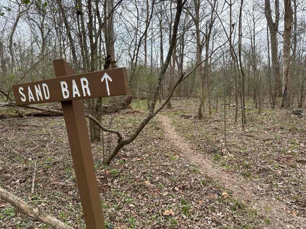 walking near me in Congaree National Park in winter