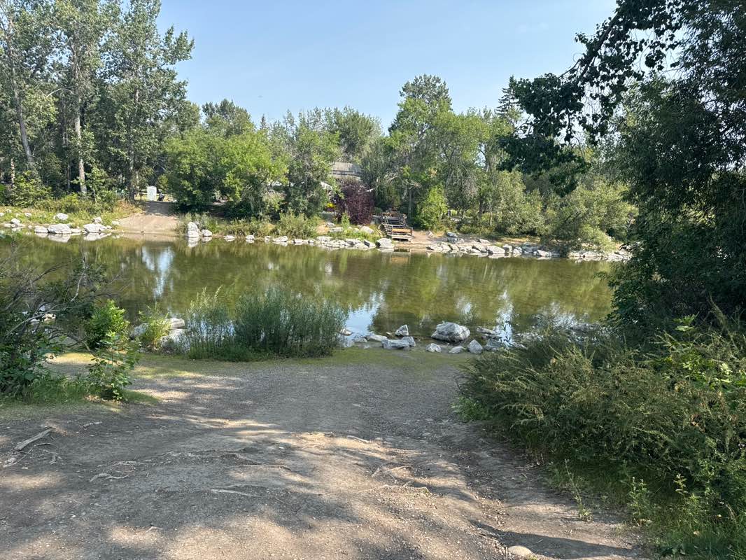 walking near me in West Eau Claire Park in summer