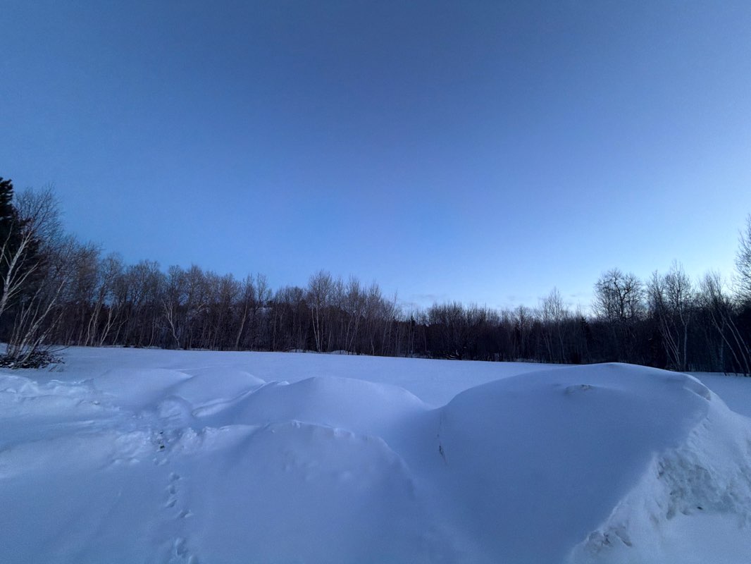 walking near me in Moonlight Beach Park in spring