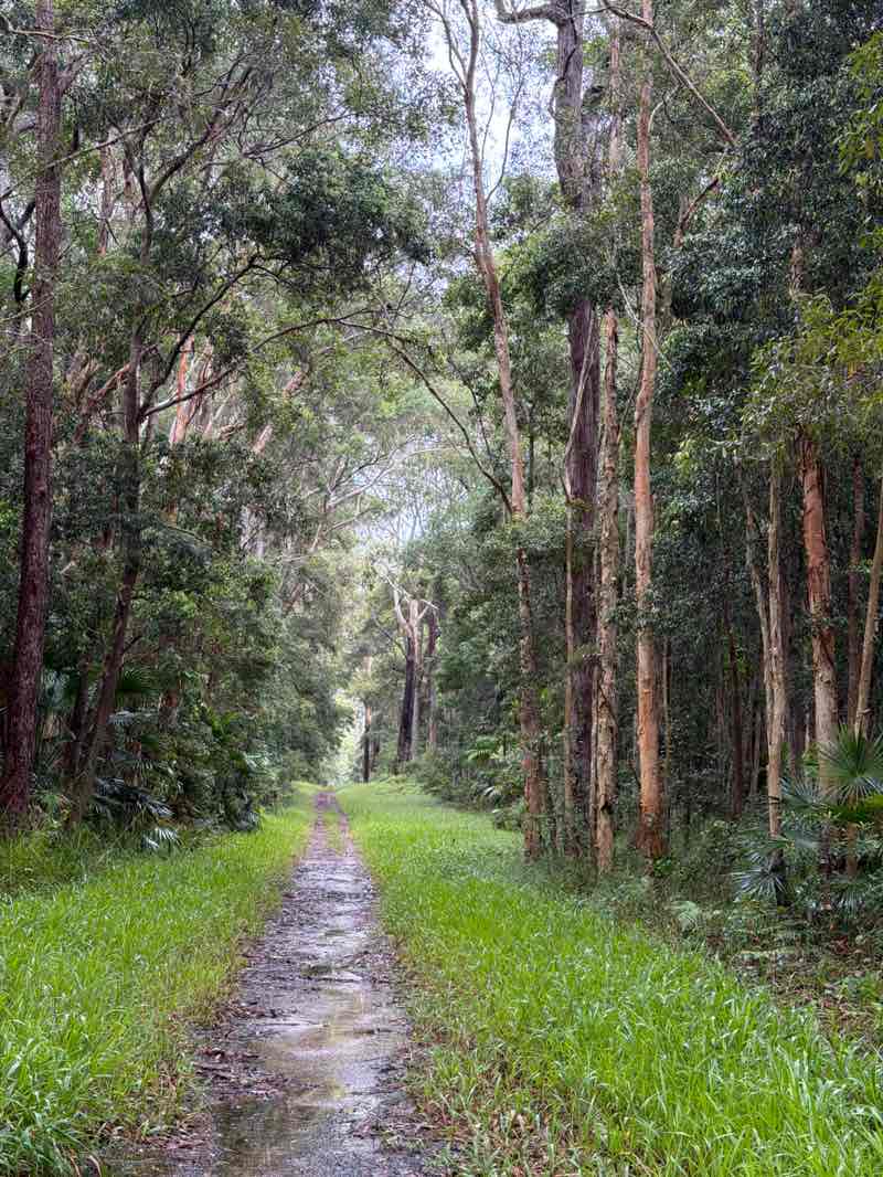 walking near me in Harry Spring Conservation Park in autumn