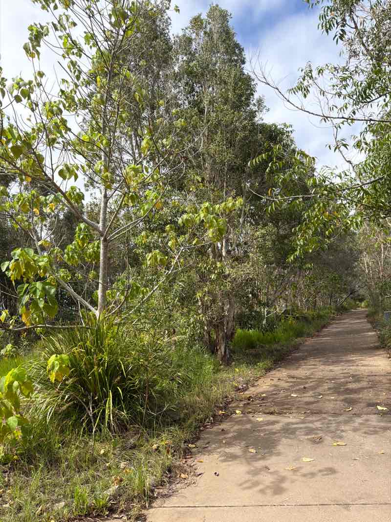 walking near me in Noosa Conservation Park in autumn
